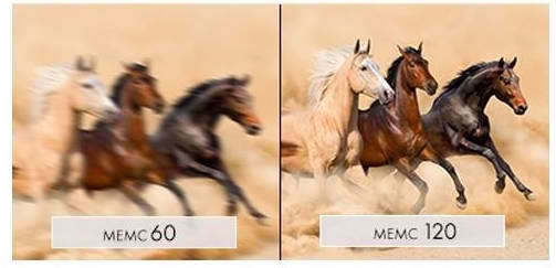 MEMC Bild mit Pferden