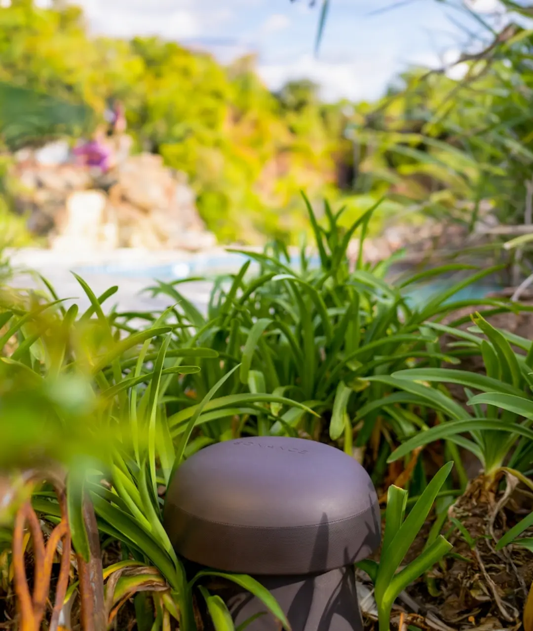 360 Grad Lautsprecher von Sonance (Omni 6T) für den Garten.