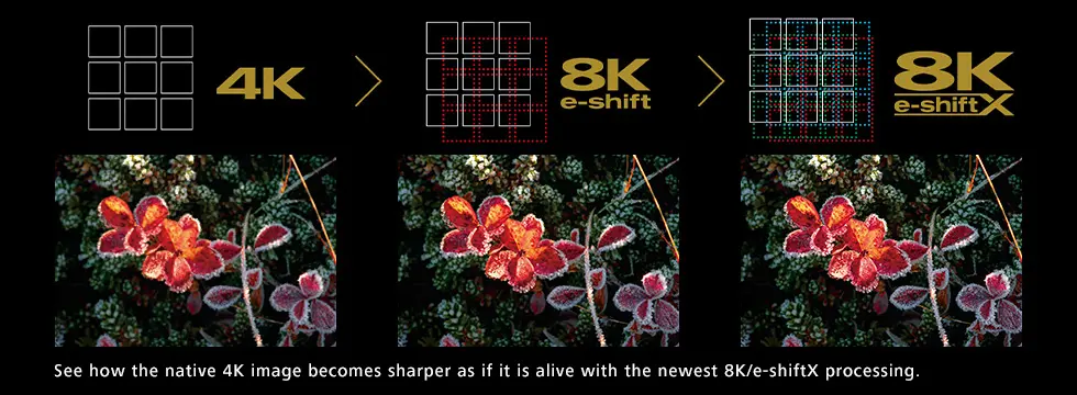 4K 8K 8K X Vergleich mit Blumen