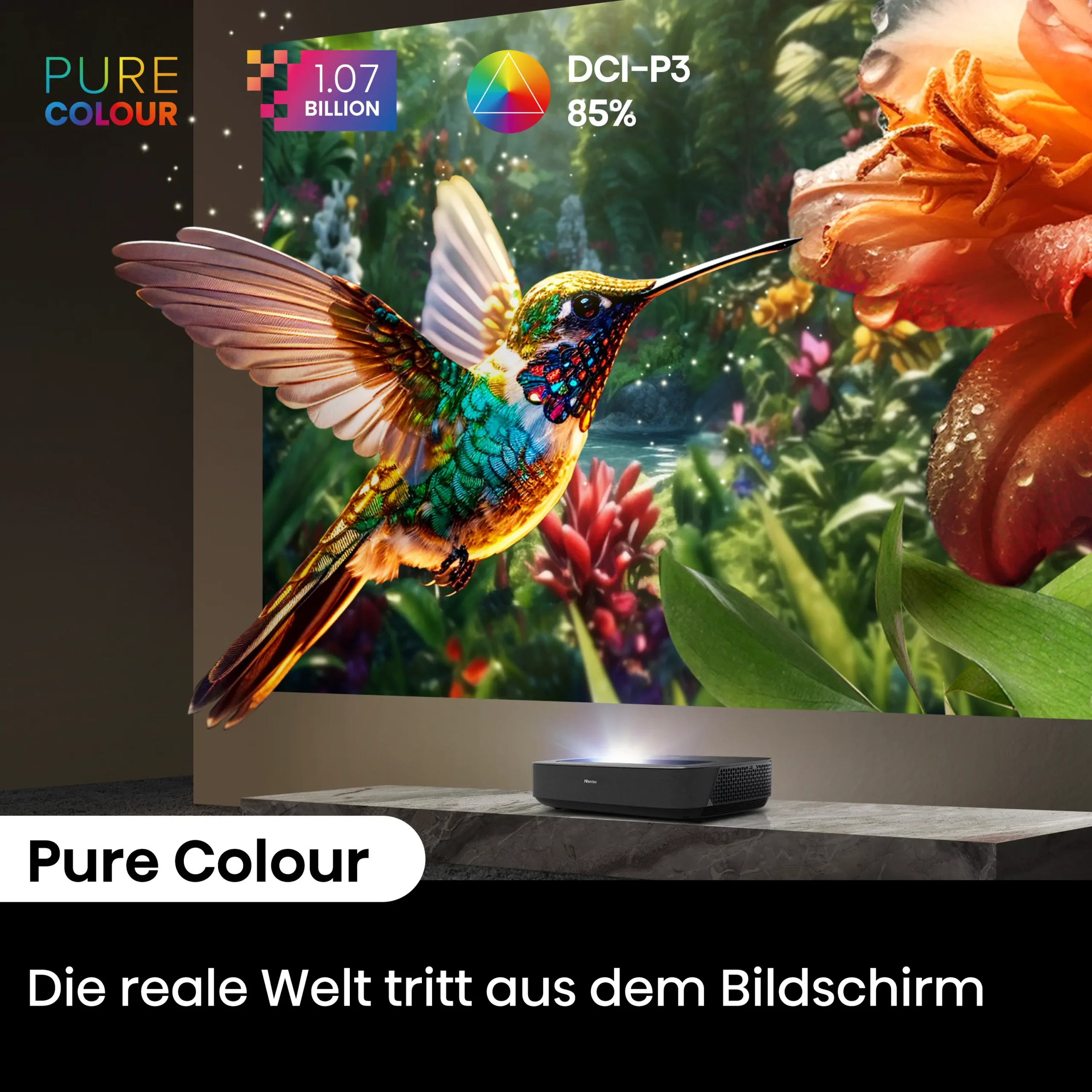 Hisense PL2 Pure Color mit Vogel