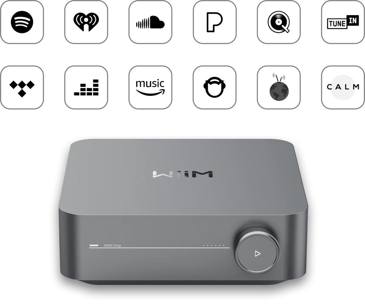 Wiim Amp Streaming Anbieter