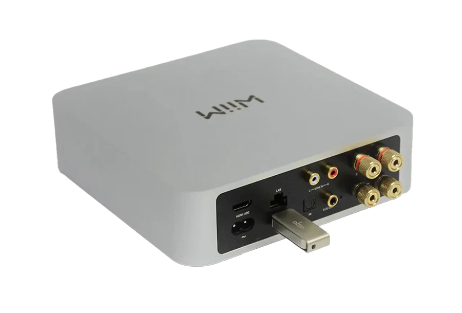 Wiim Amp USB Stick