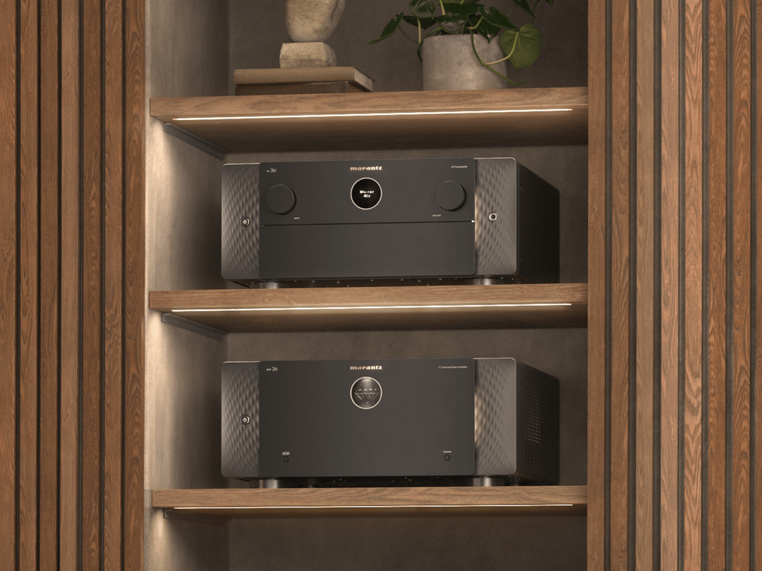 Das Bild zeigt den AMP 20 in einem geschmackvollen Holz-Regal.