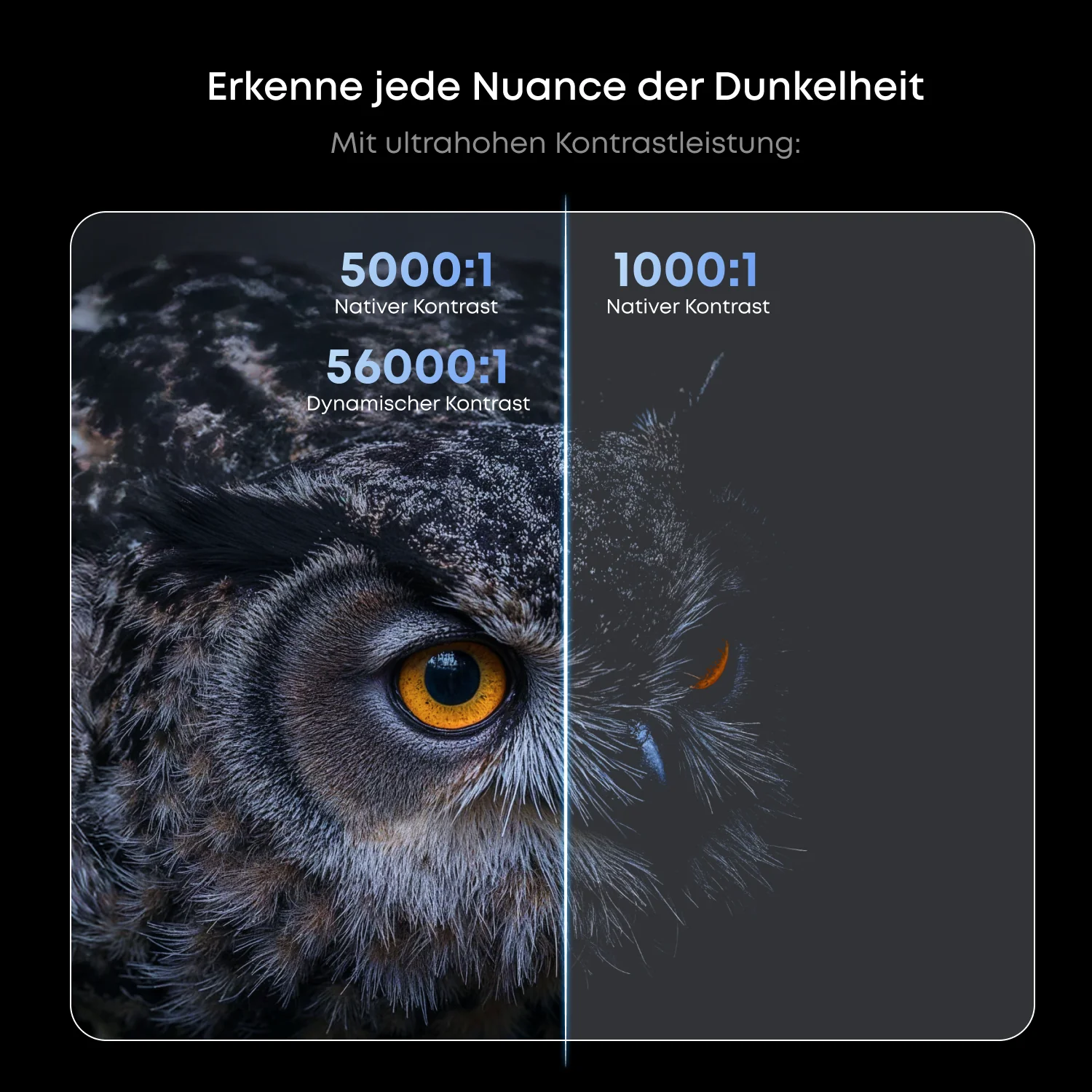 Nebula X1 contrast mit einer Eule