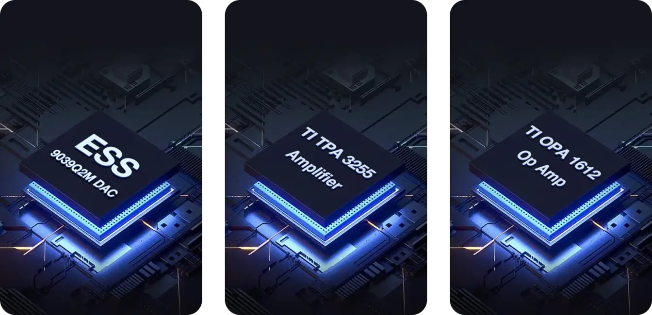 wiim amp Ultra DAC Chips