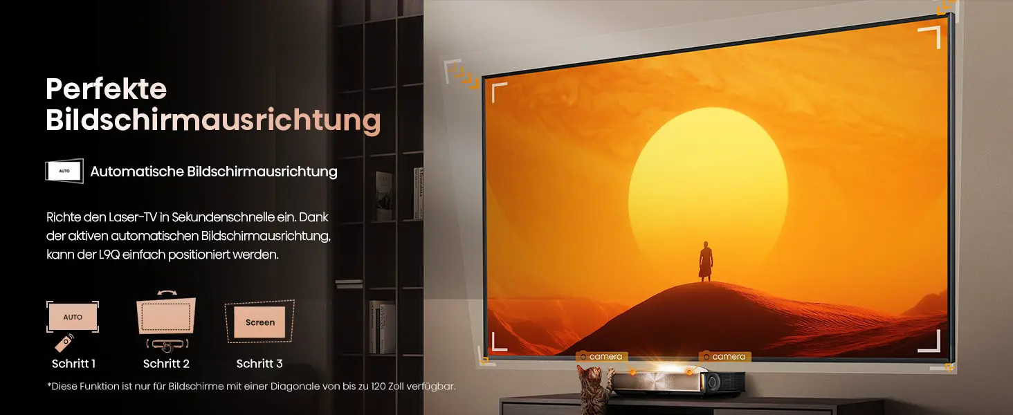 Hisense L9Q Laser TV Bildschirmausreichtung